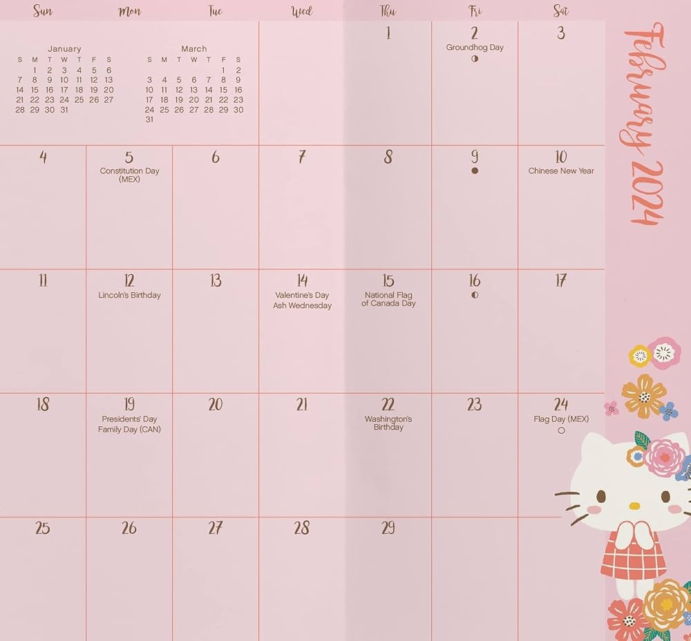 2024 2025 Hello Kitty Pocket Planner Trends International 9781438896380 Amazon Books