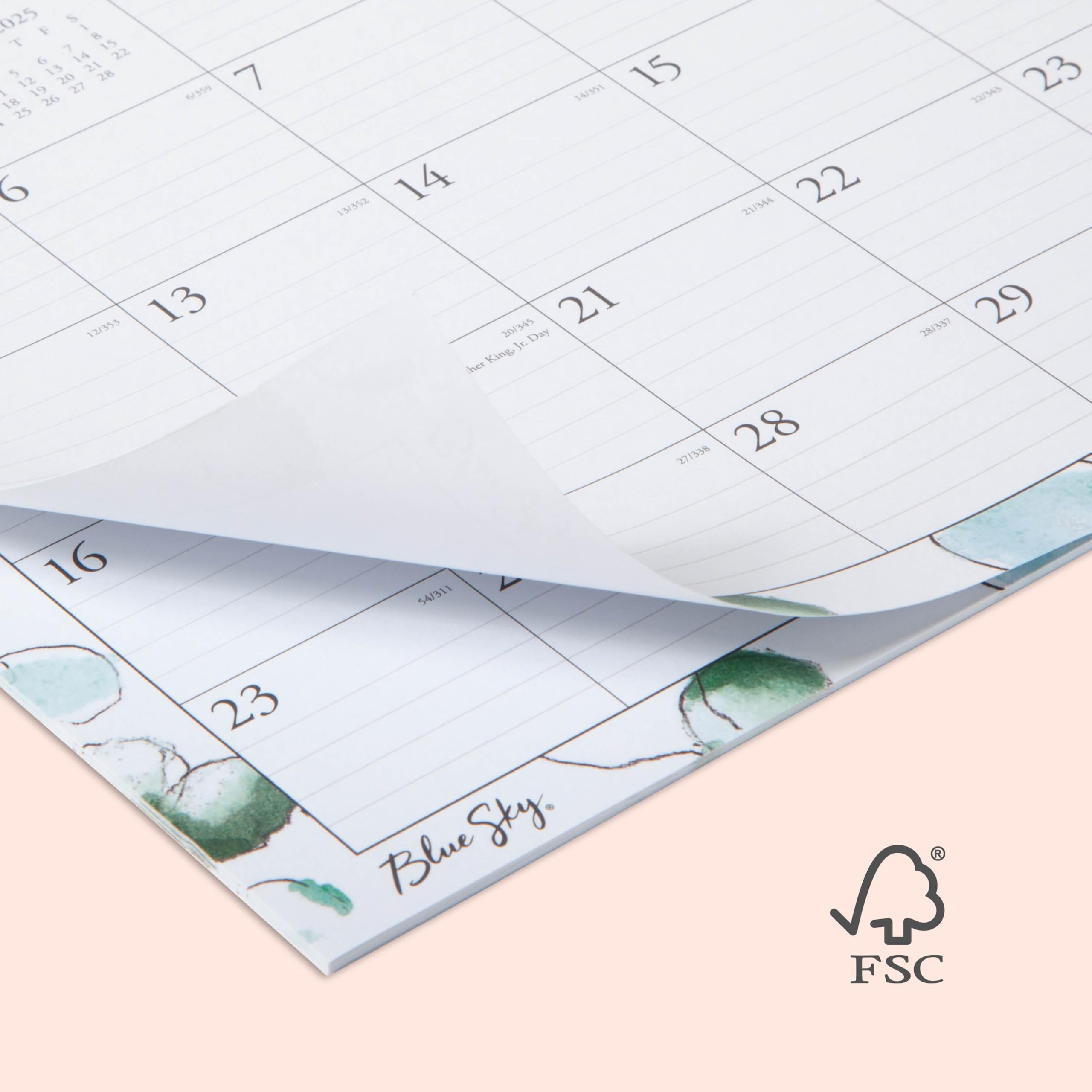 Amazon Blue Sky 2025 Monthly Wall Calendar January 2025 