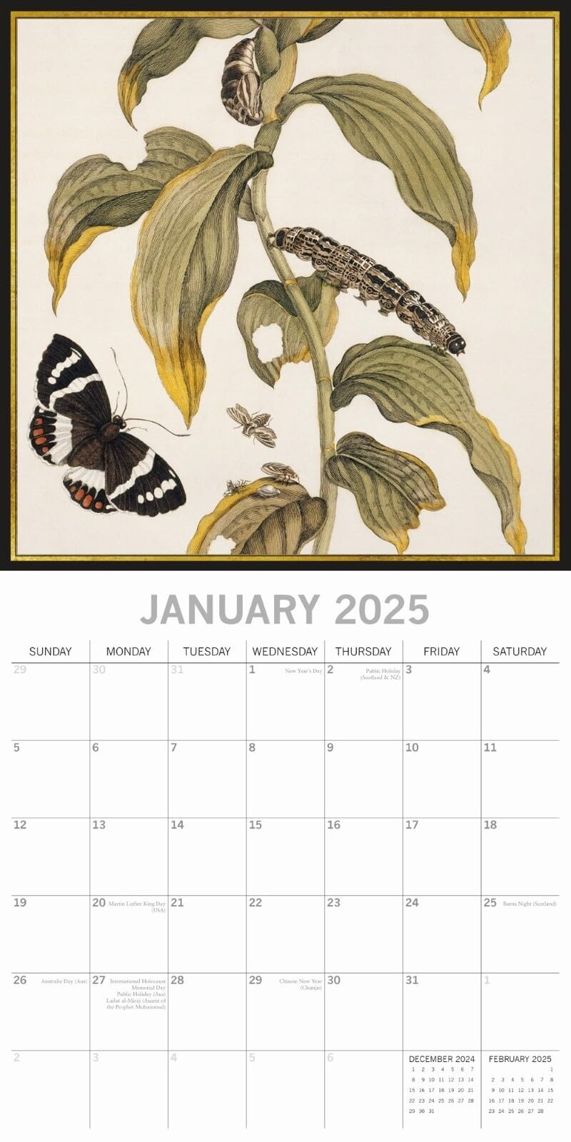 Insects Printable Calendar November 2025