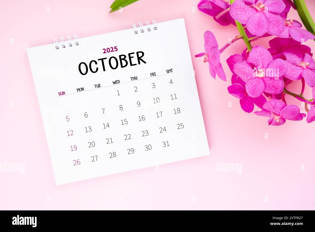 October Calendar 2025 Pink
