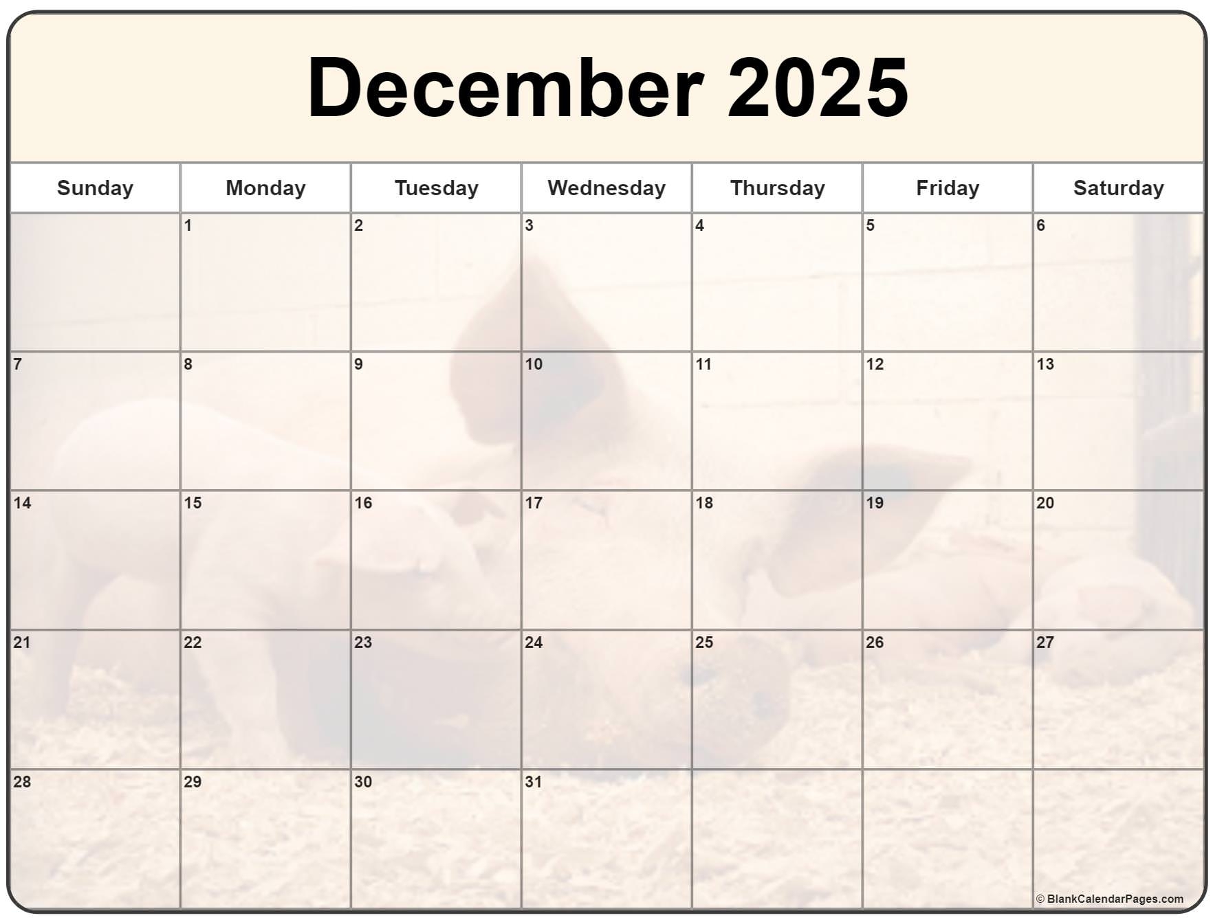 Collection Of December 2025 Photo Calendars With Image Filters 