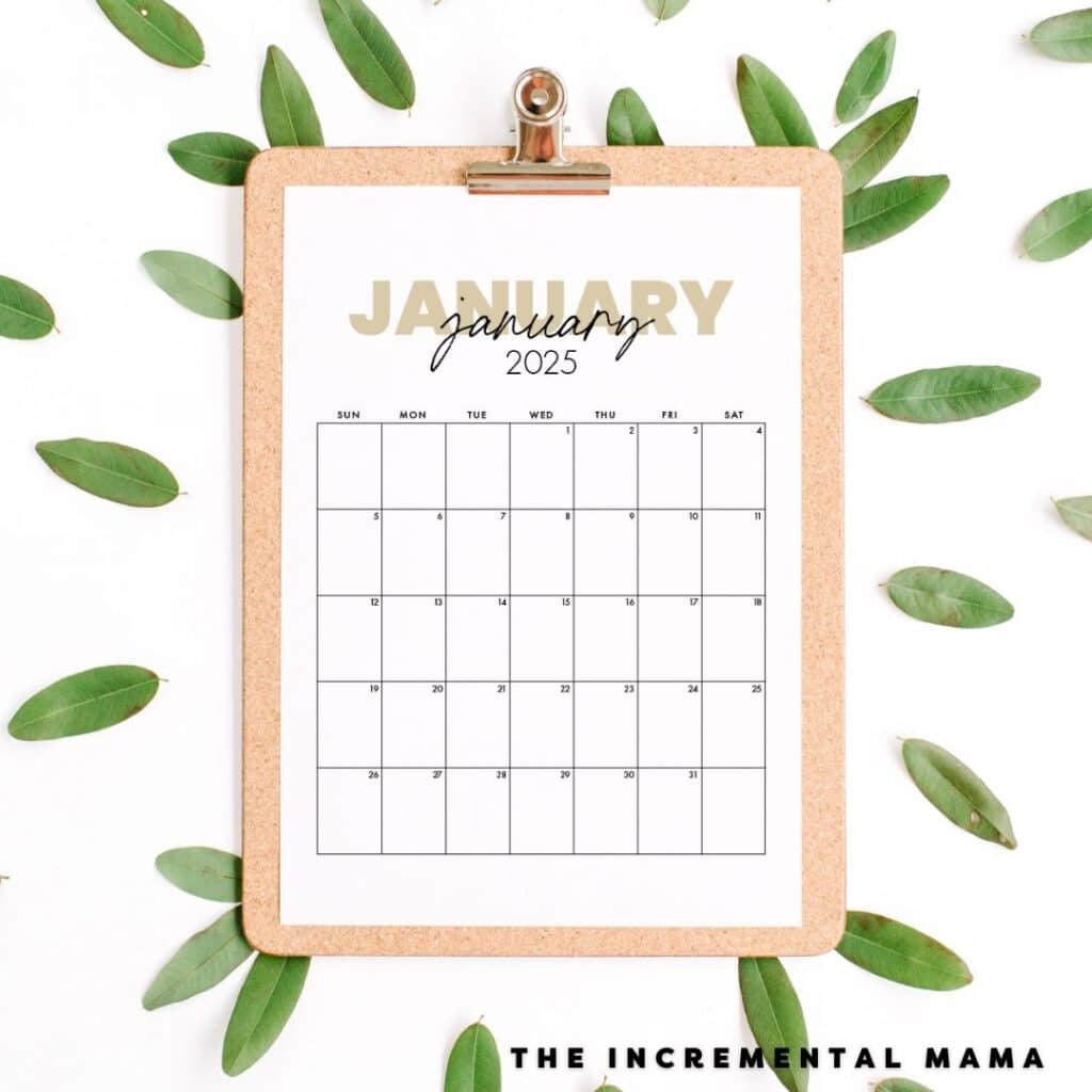 Free Printable 2025 Monthly Calendar Printable