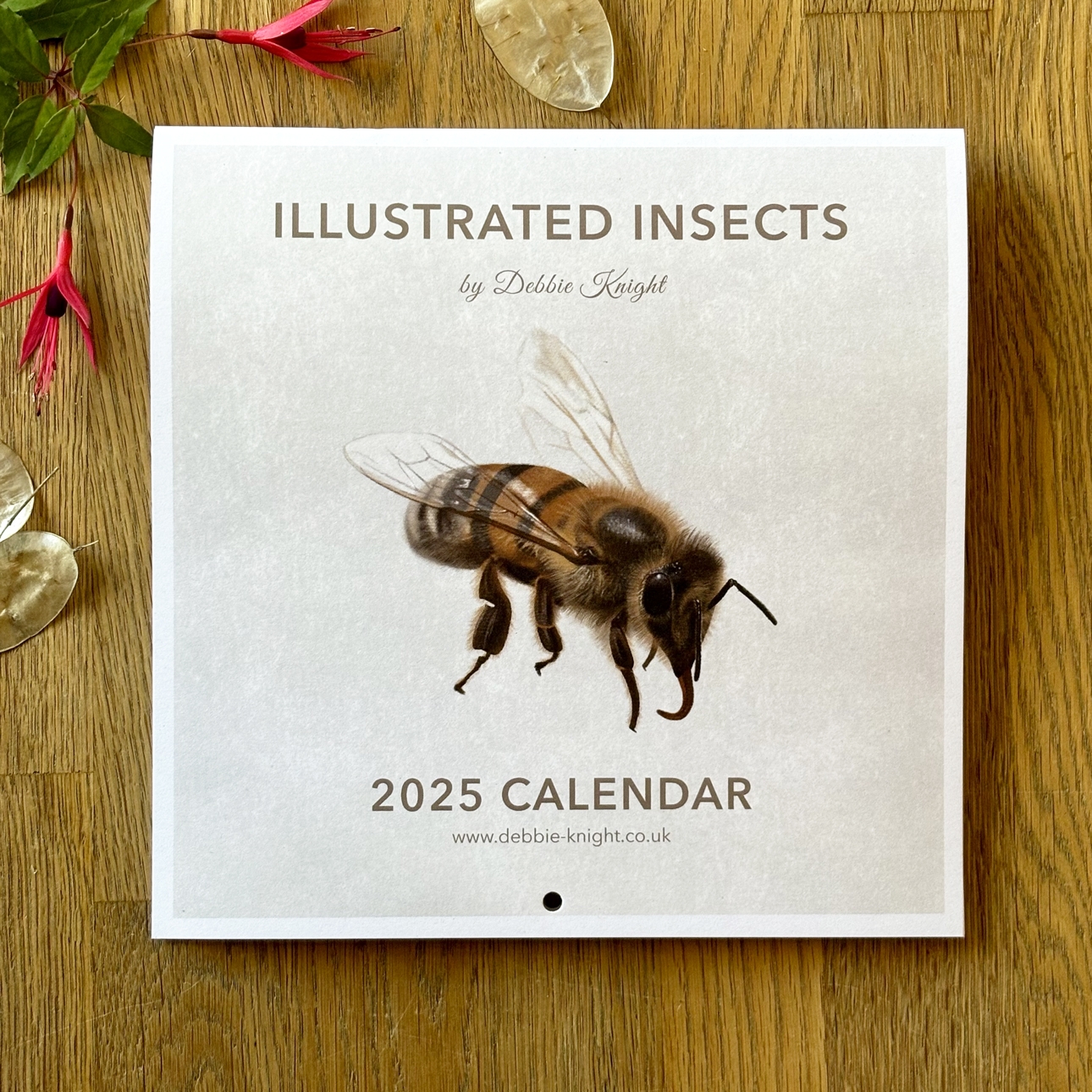 Illustrated Insects Calendar 2025 Debbie Knight
