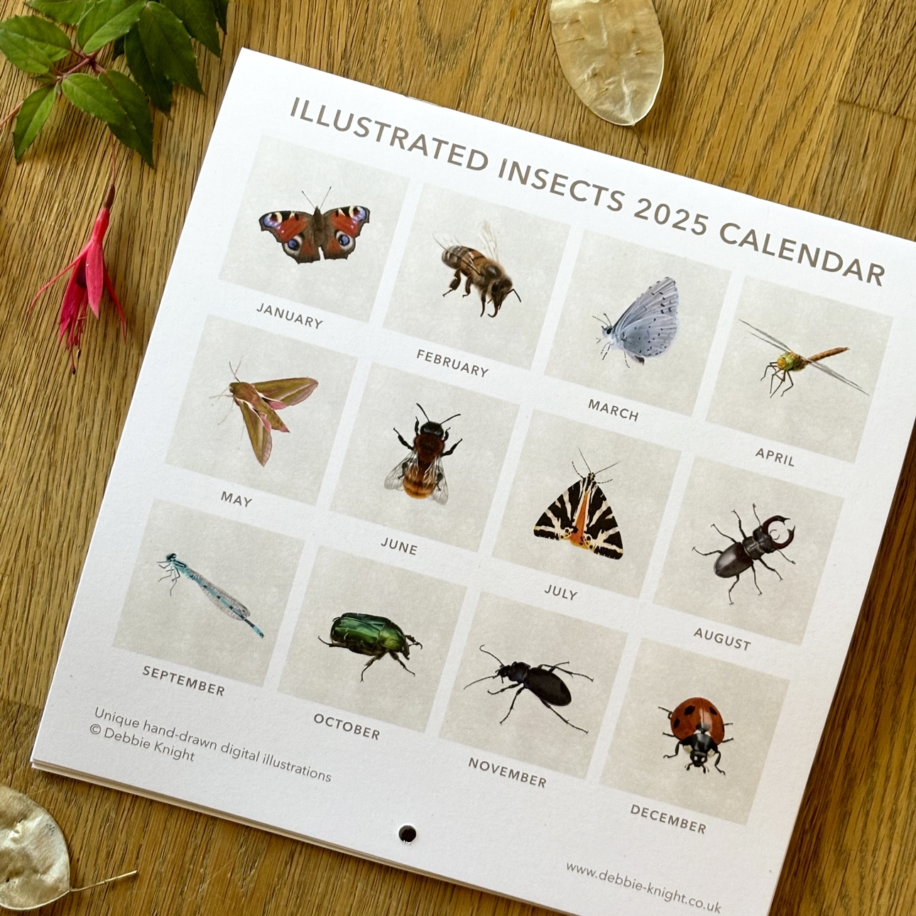 Illustrated Insects Calendar 2025 Debbie Knight
