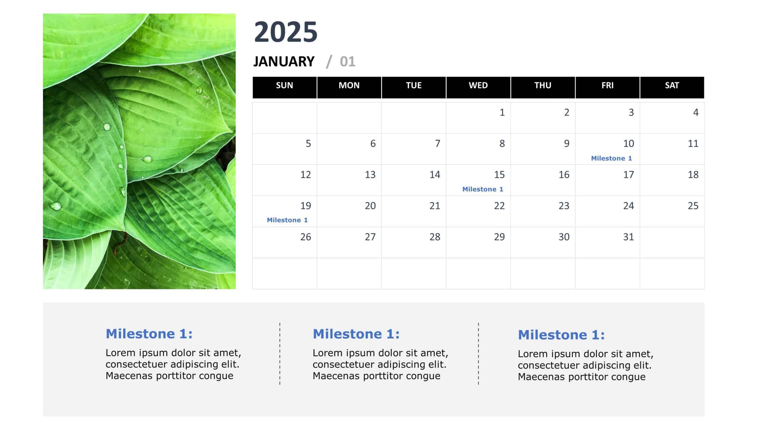 Free Printable Calendar 2025 Windows